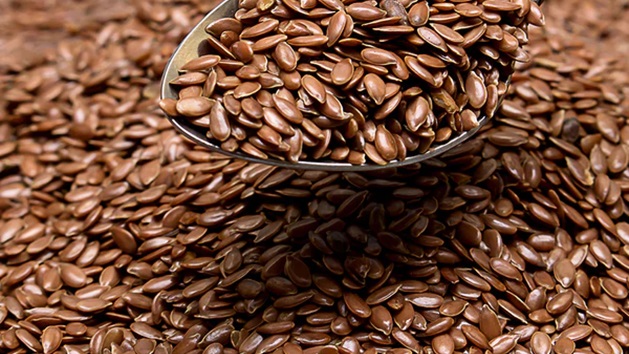 Flax Seeds