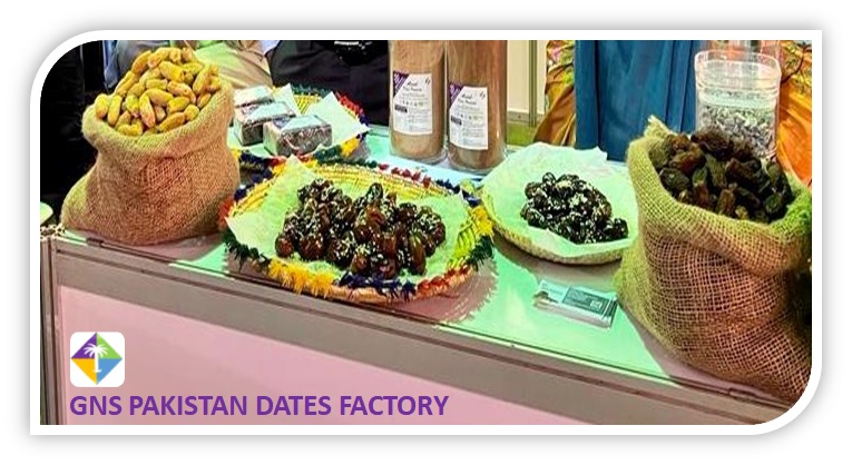 GNS Pakistan Dates Factory
