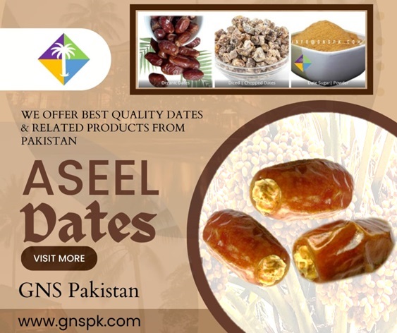 Aseel Dates - GNS Pakistan Dates